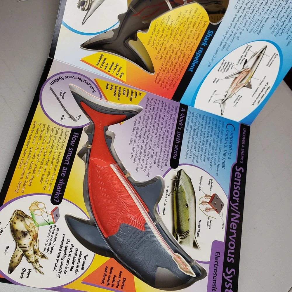 Uncover a Shark David George Gordon 3D Anatomy Model Board Book Silver Dolphin